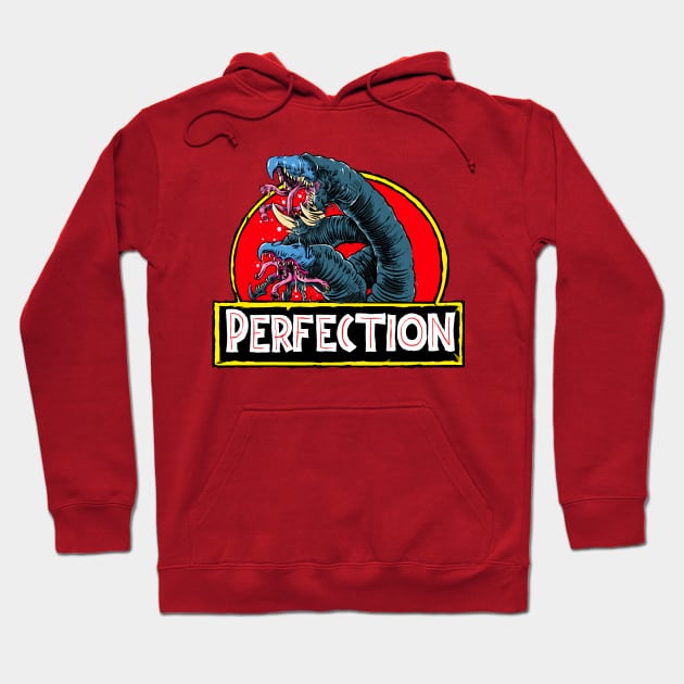 Perfection Hoodie by G00DST0RE